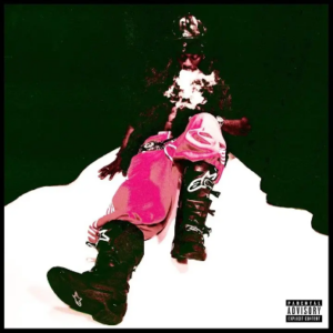 PsychoYP – WHO BORN THE MAGA Download Mp3