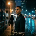 Micah Monroe – Fell Asleep (Remix)